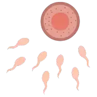 Treated for Infertility Icon